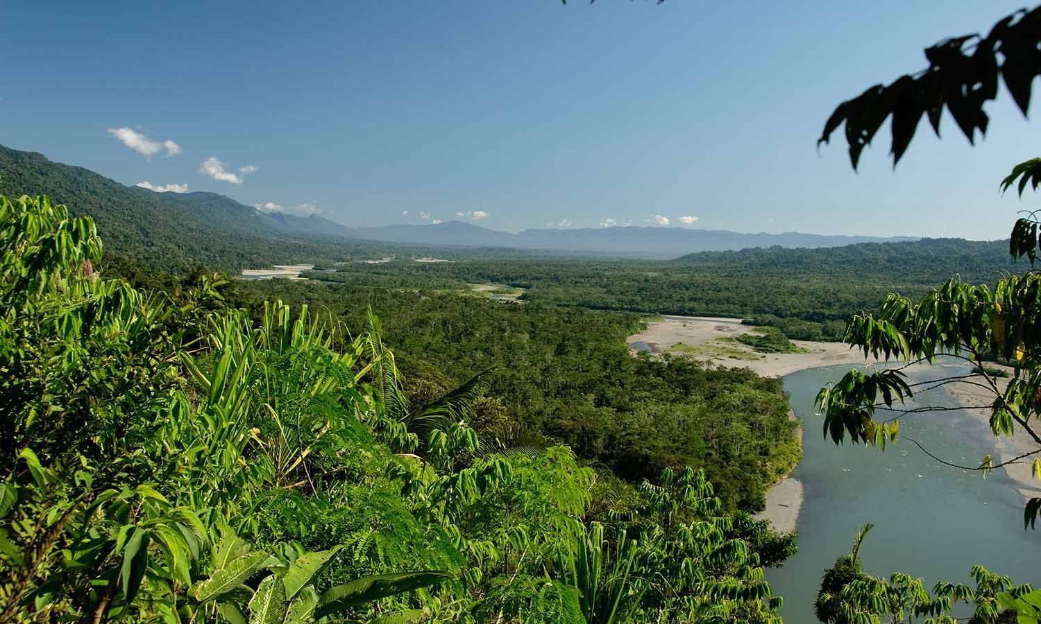 Parque Nacional Manu