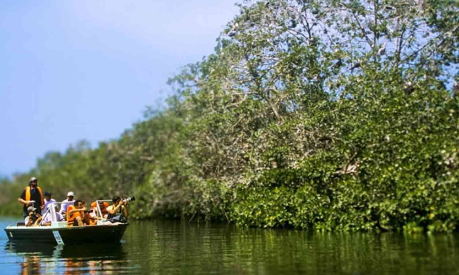 Santuario Nacional Manglares de Tumbes